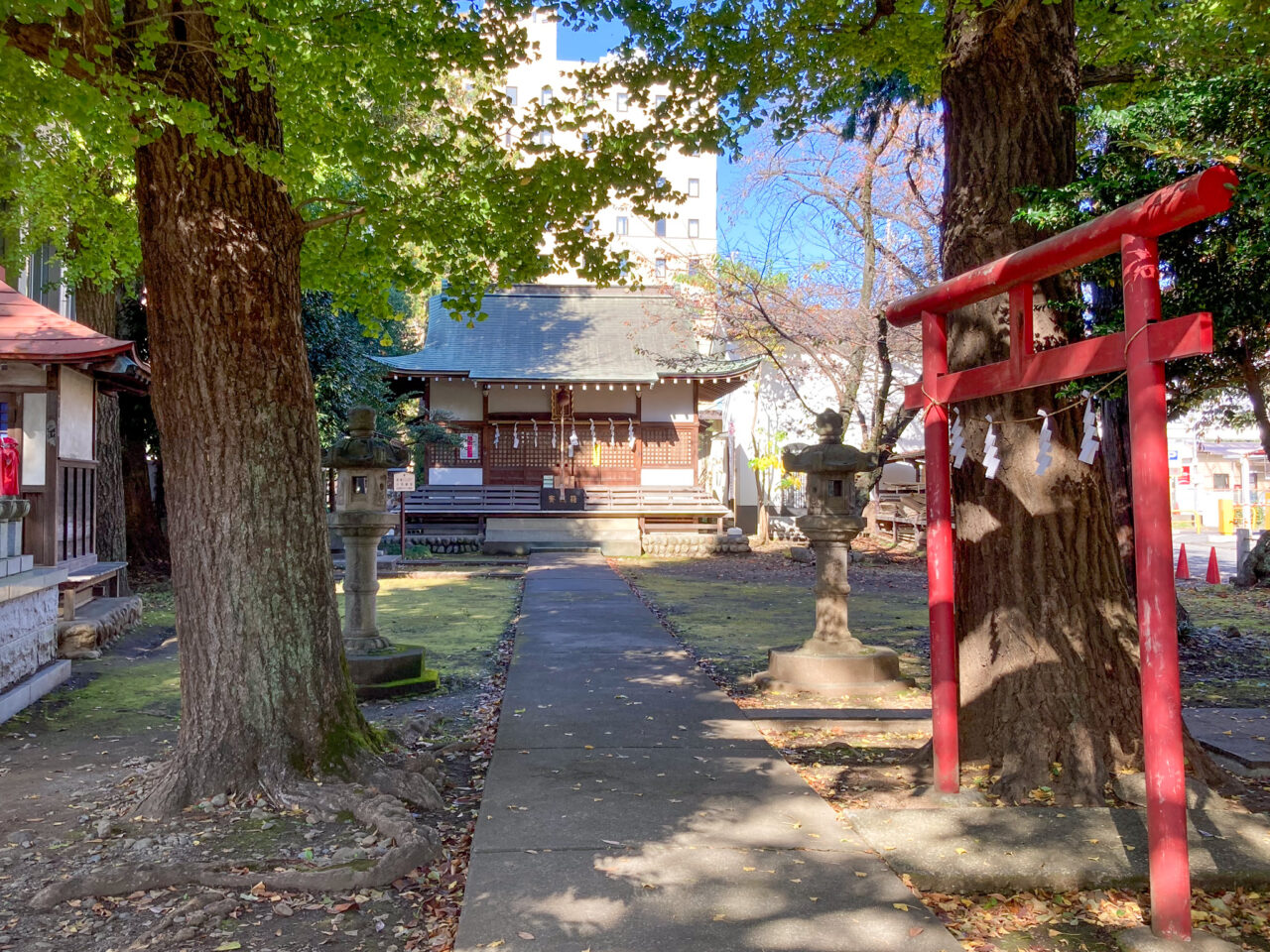 2024年11月まいまいず井戸の神社境内