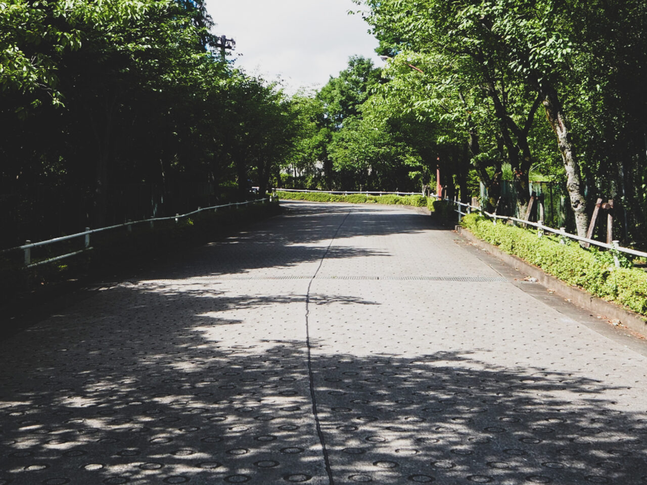 2025年3月 スカイホール駐車場道路