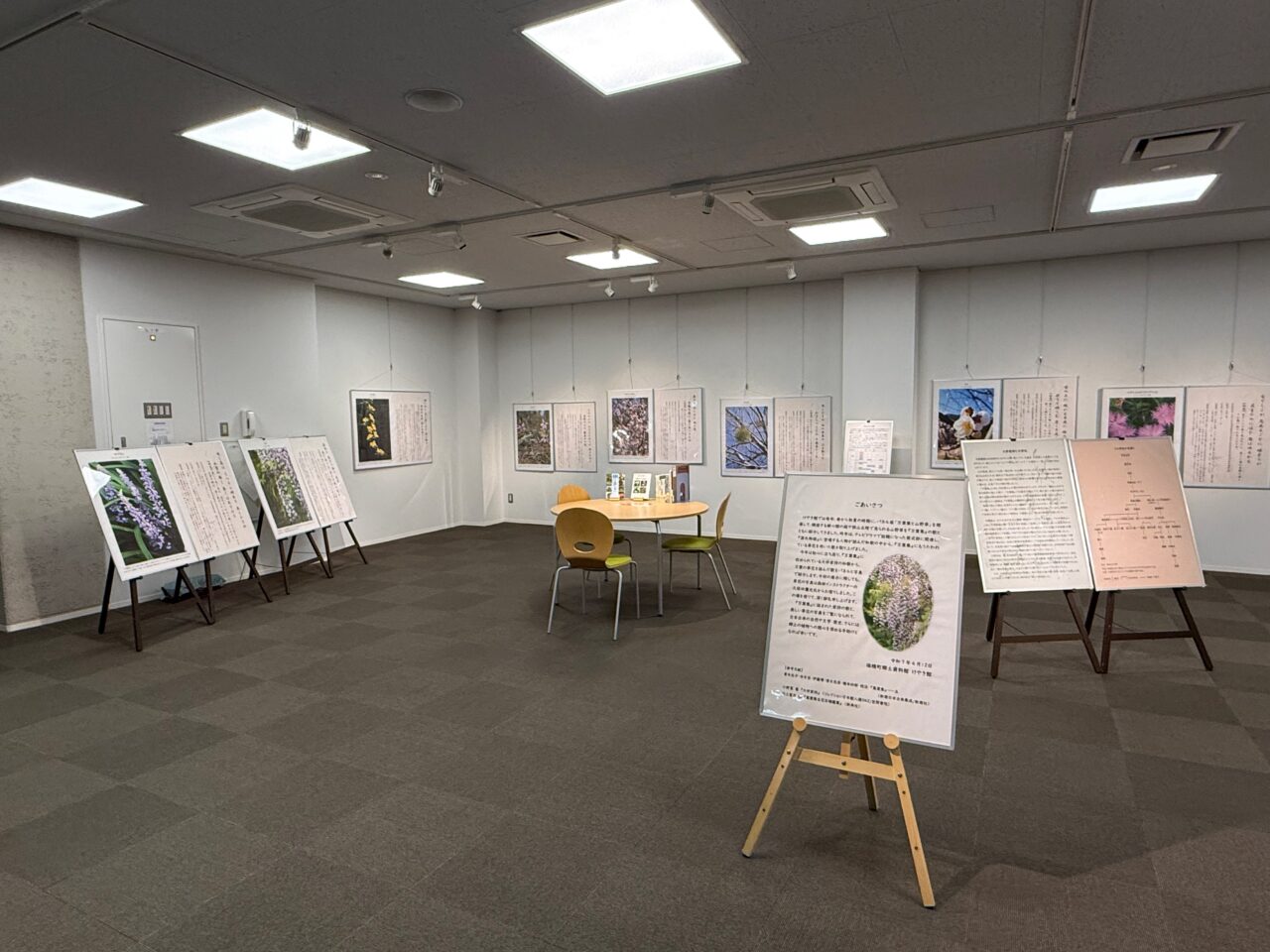 2025年4月 瑞穂町郷土資料館耕心館 万葉集と山野草 8