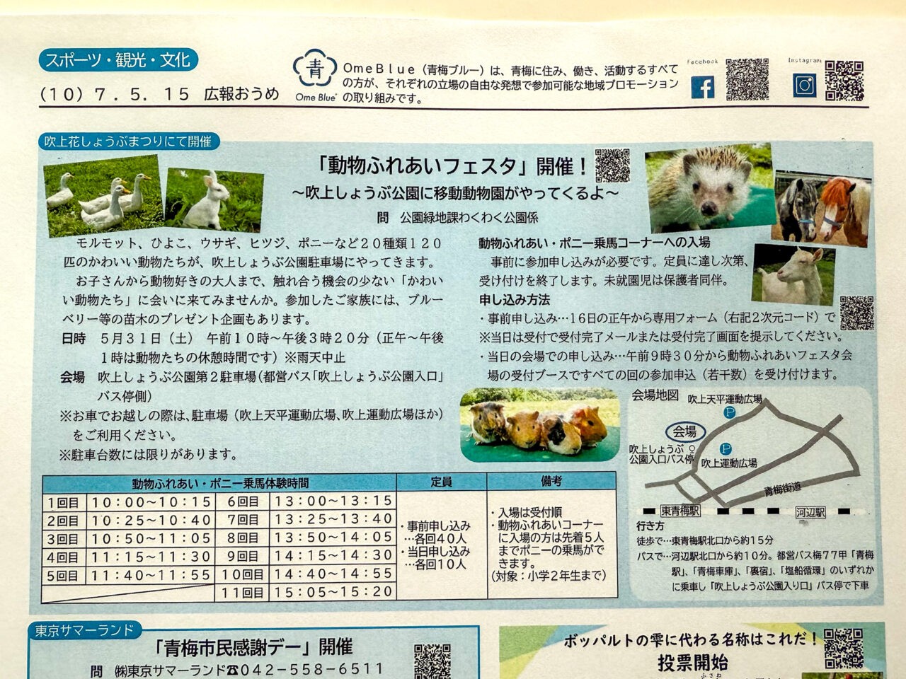 2025年5月 動物ふれあいフェスタ広報