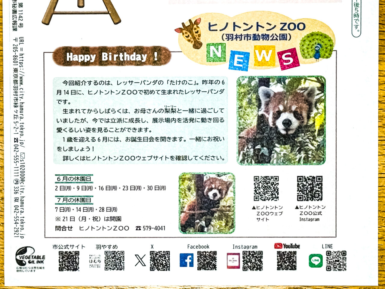 2025年6月 Hinotonton Zoo