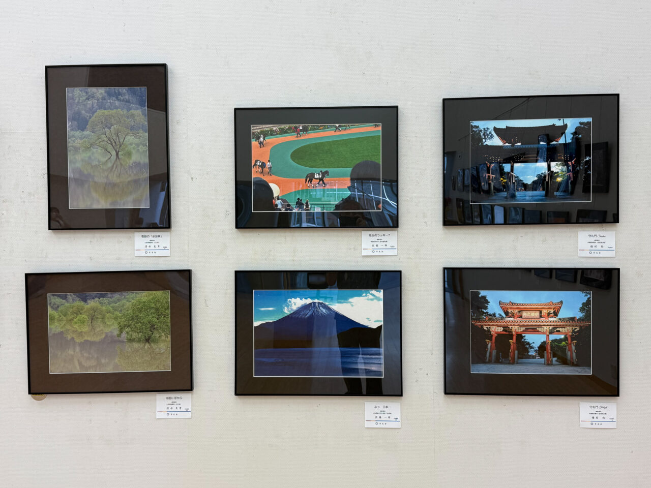 2025年5月 羽村市美術・工芸展4 作品1