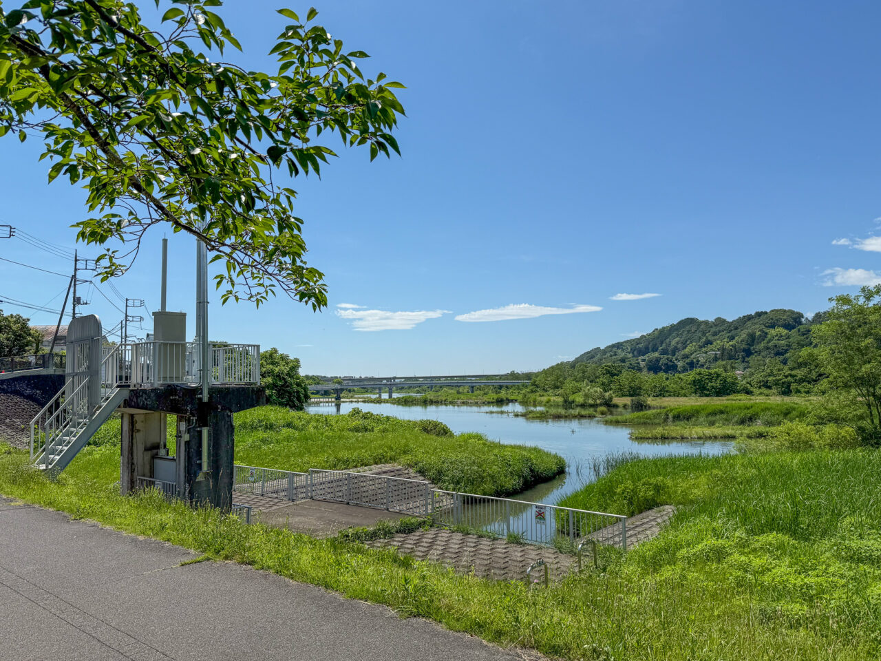 2025年6月 那賀排水樋管ゲート 3