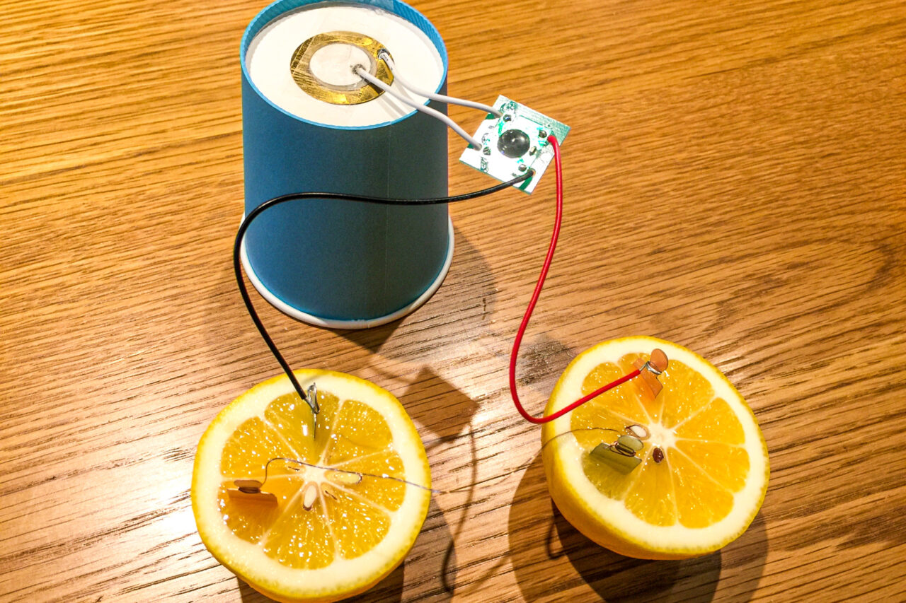2025年7月 夏のサイエンスキッズ果物電池
