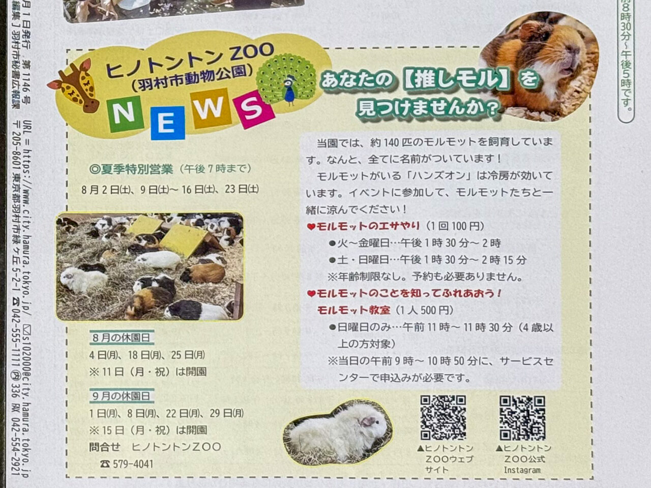 2025年7月 推しモル 広報記事