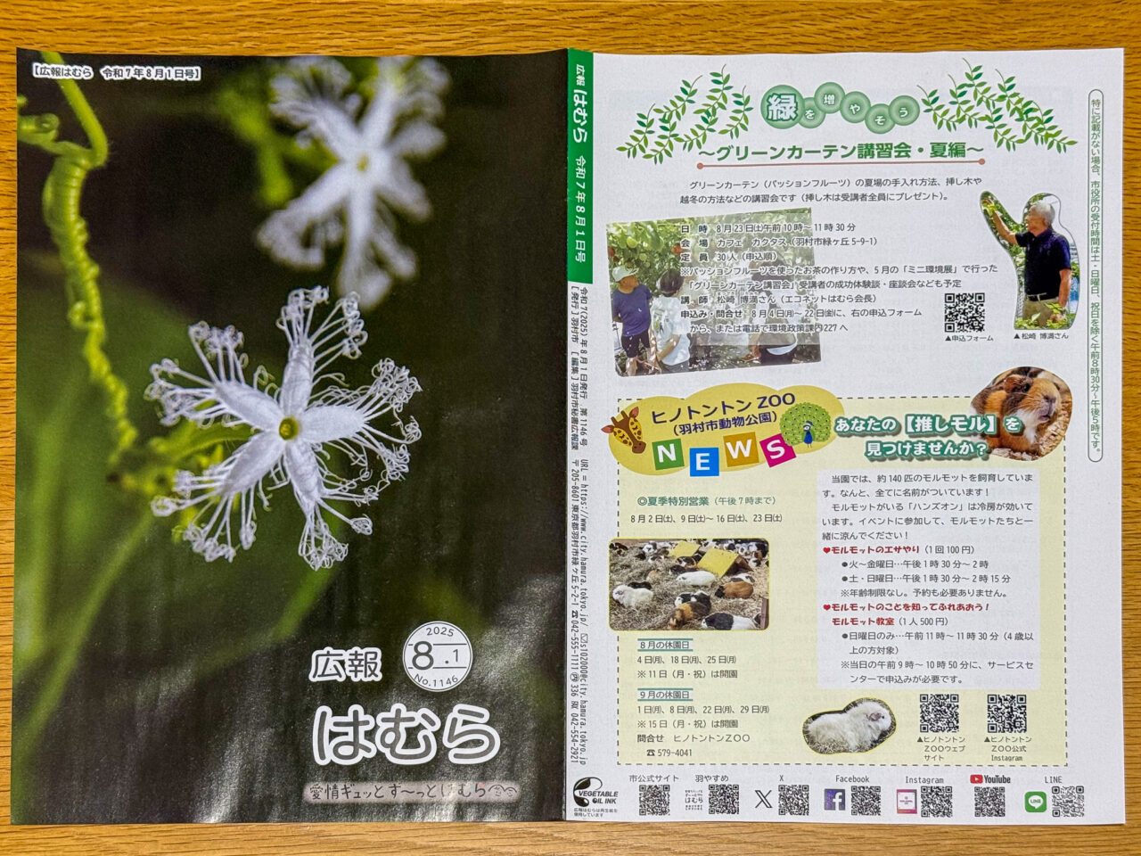 2025年7月 推しモル 広報