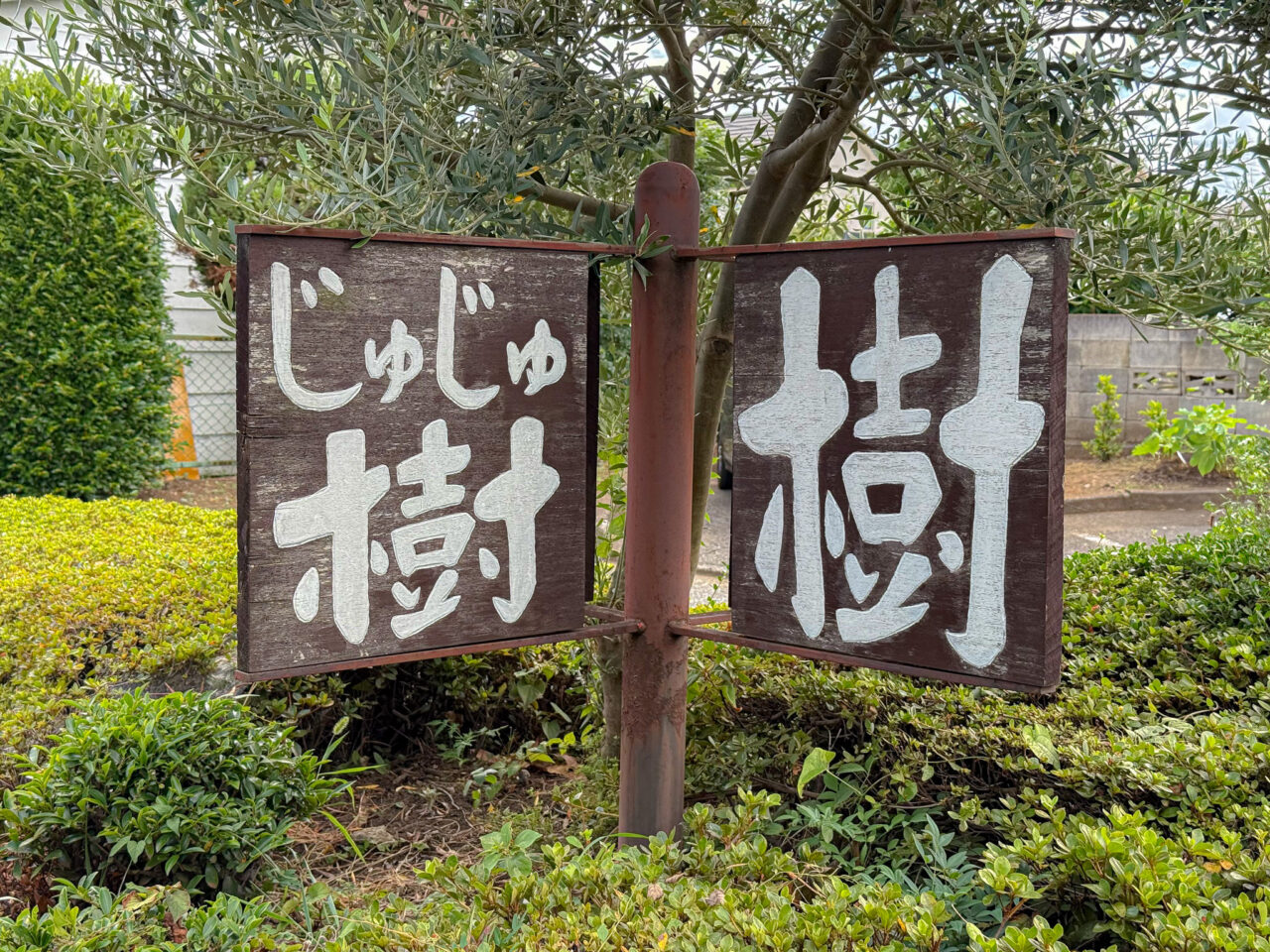 2025年8月 樹樹の看板