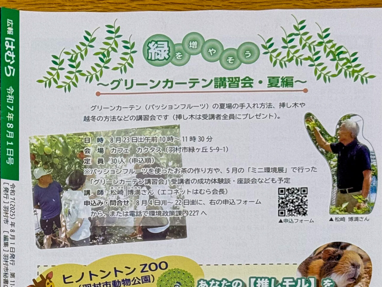 2025年8月 グリーンカーテン 広報記事