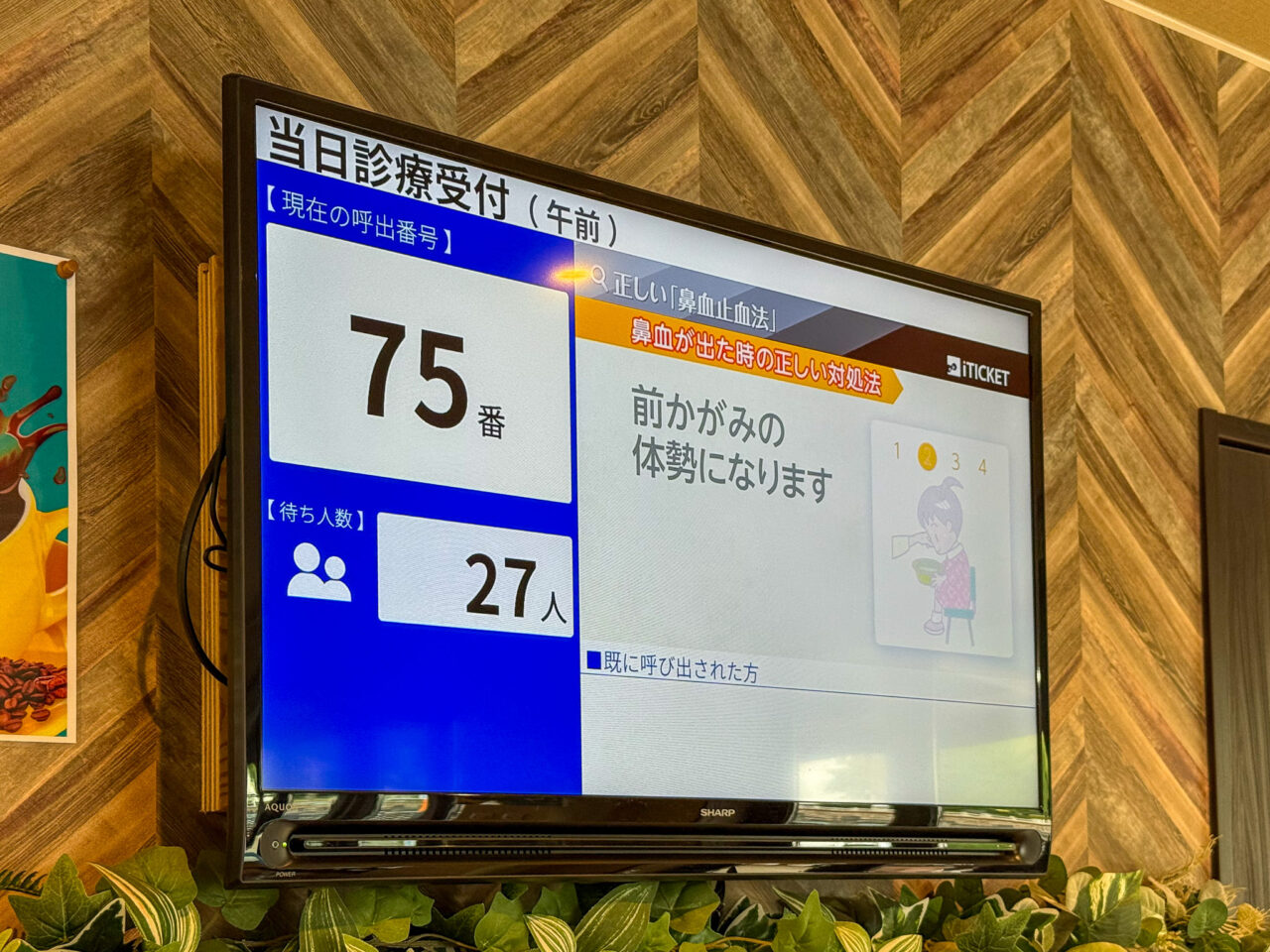 2025年9月 mogu cafe ディスプレイ