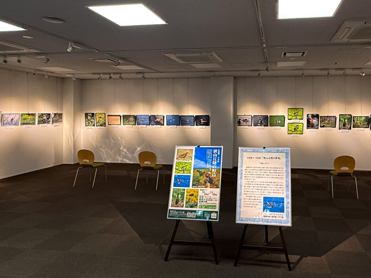 2025年10月 狭山丘陵の野鳥 展示会場