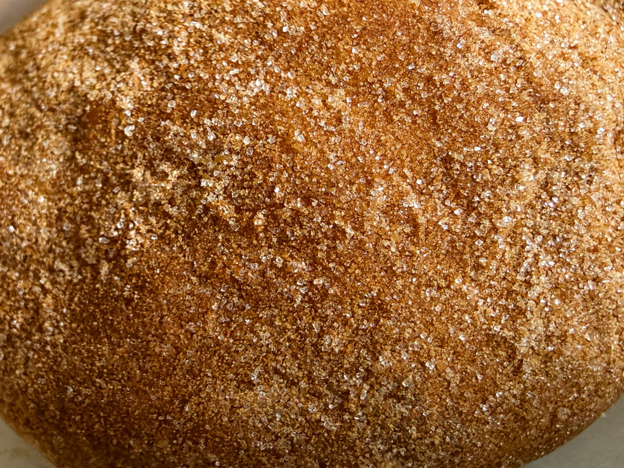 25年10月 DONUTS SOCIETY シナモン