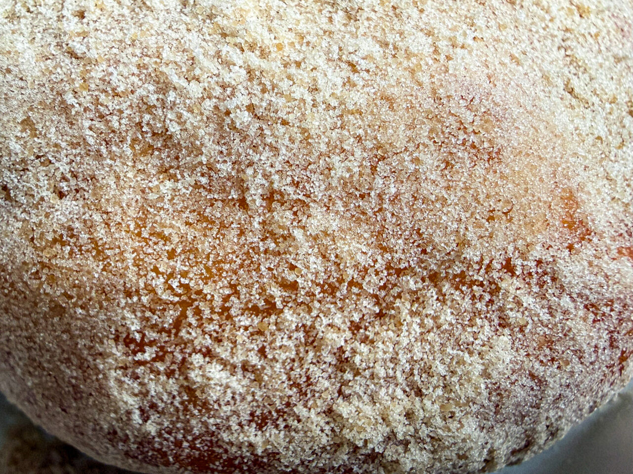 25年10月 DONUTS SOCIETY シュガー