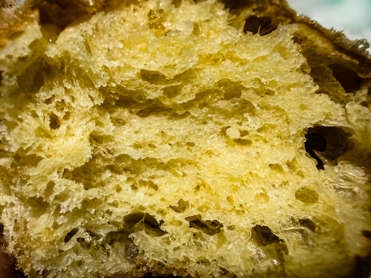 25年10月 DONUTS SOCIETY 生地