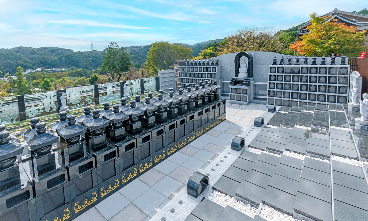 2025年11月 Tree burial main