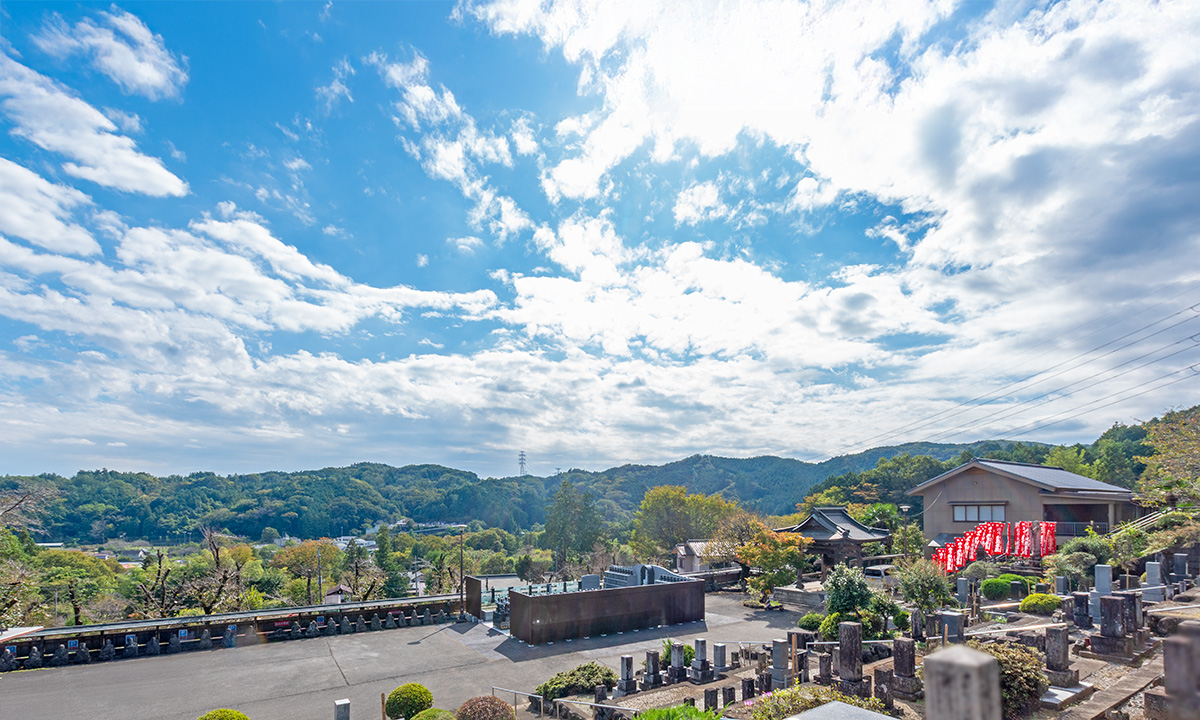 2025年11月 Tree burial sub2