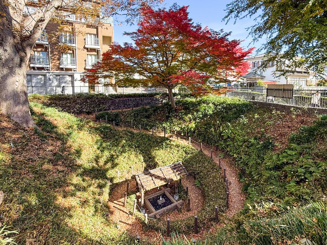 2025年12月 まいまいず井戸 2