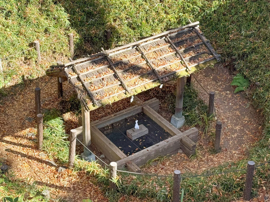 2025年12月 まいまいず井戸 3