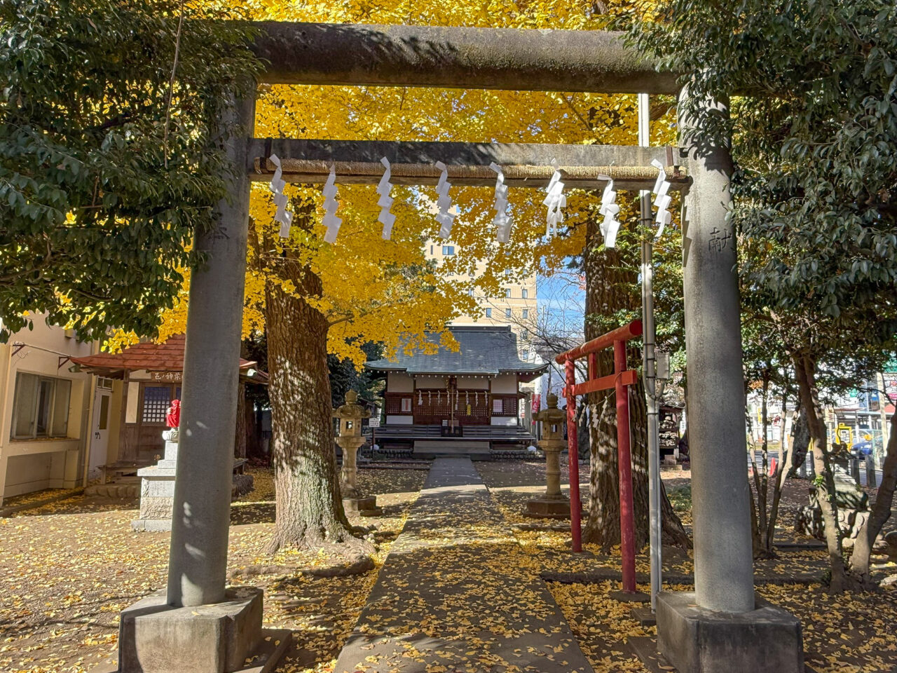 2025年12月 まいまいず井戸 4