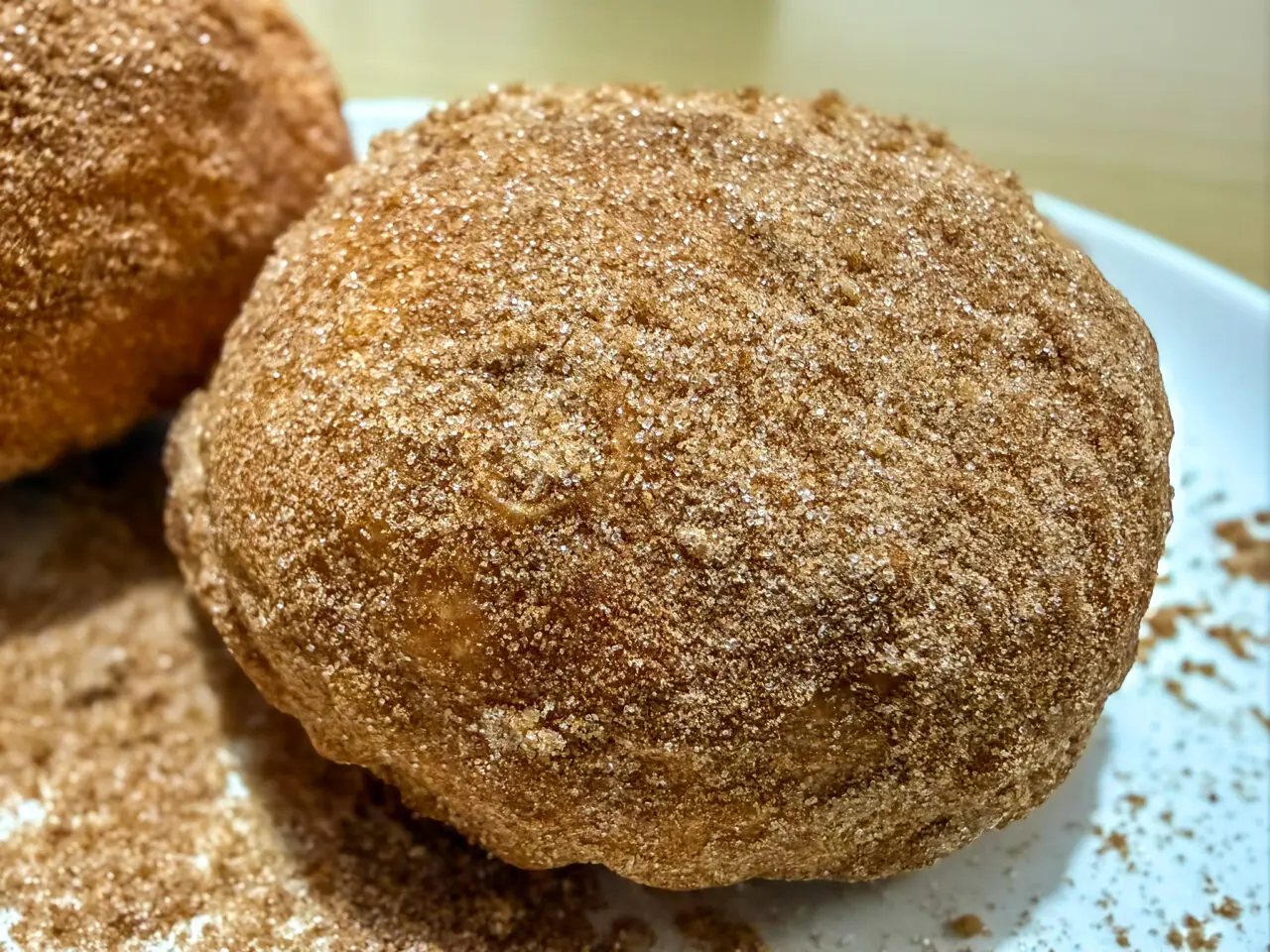 2025年12月 DONUTS SOCIETY 3