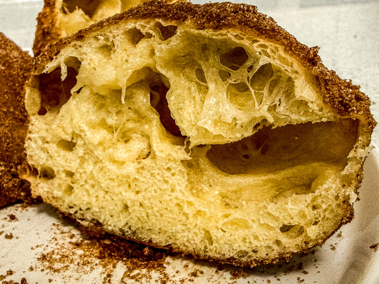 2025年12月 DONUTS SOCIETY 4