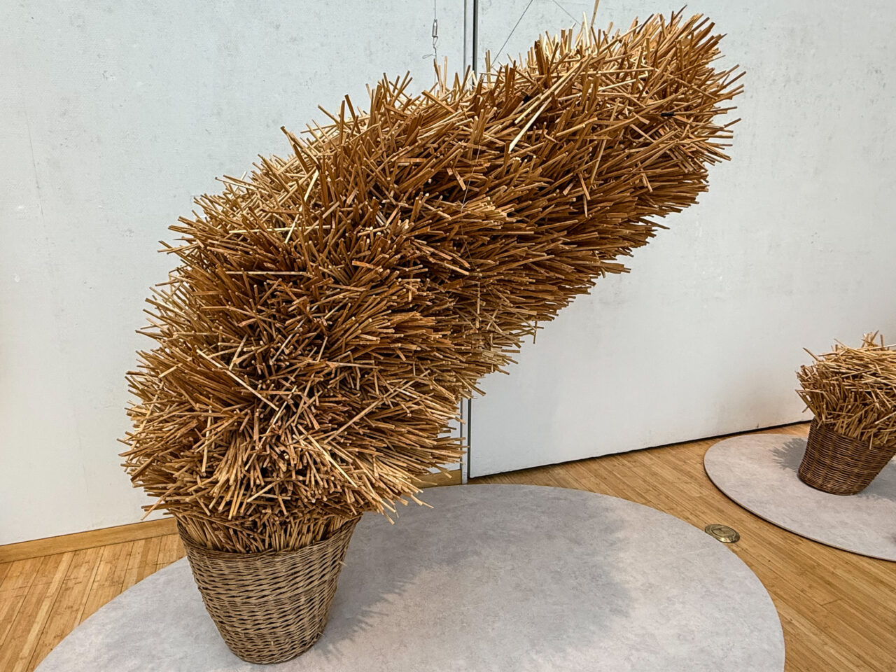 2026年1月 既知との遭遇 武田拓 1-1