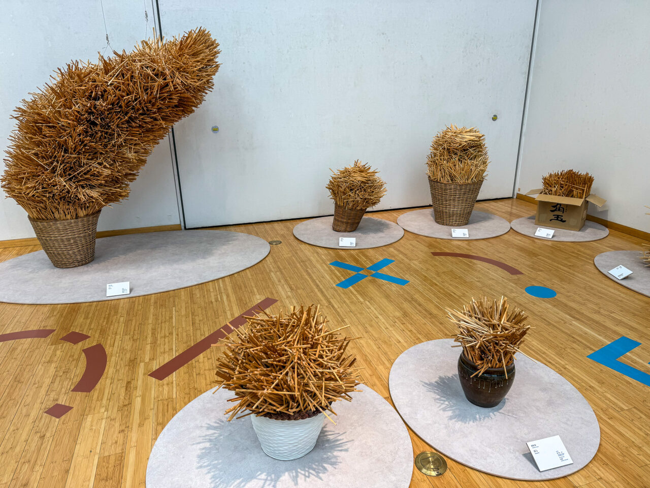 2026年1月 既知との遭遇 武田拓 3