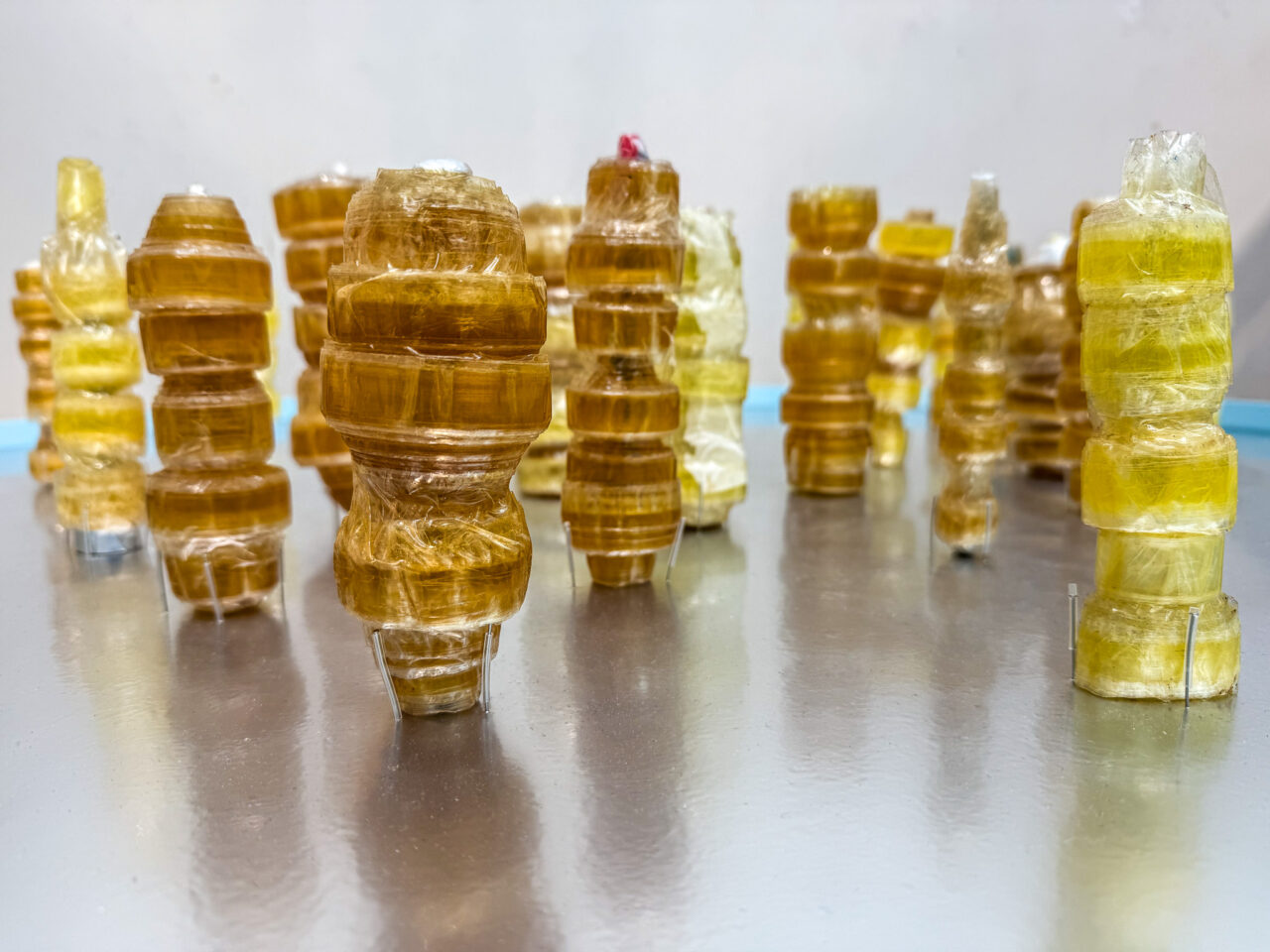 2026年1月 既知との遭遇 鶴川弘二 3