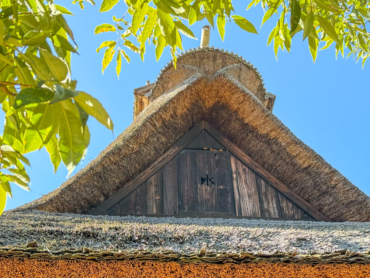 2026年1月 まゆ玉かざり 6