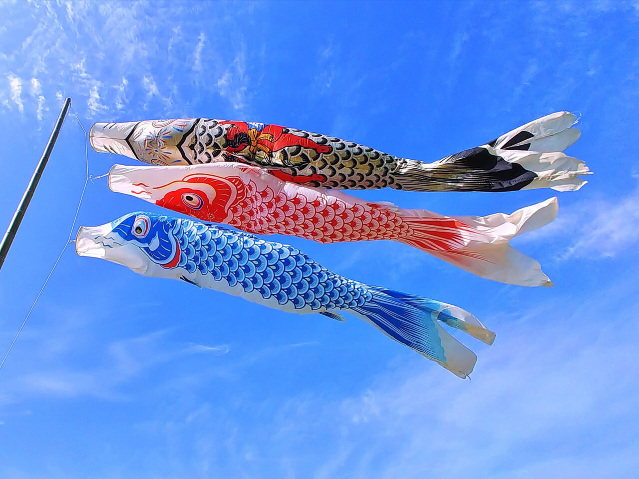 2026年2月 はむら花と水のまつり carp streamer