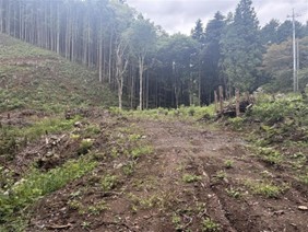 2026年3月 企業の森 Corporate Forest sub1