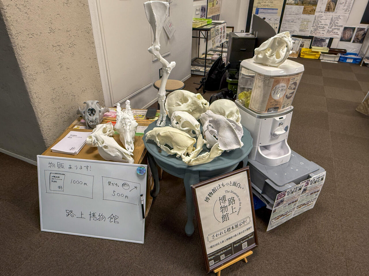 2026年3月 多摩の化石可視化展 Rojo hakubutukan