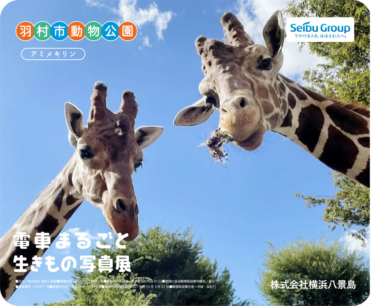 2026年3月 生きもの写真館 Photo exhibition sub6