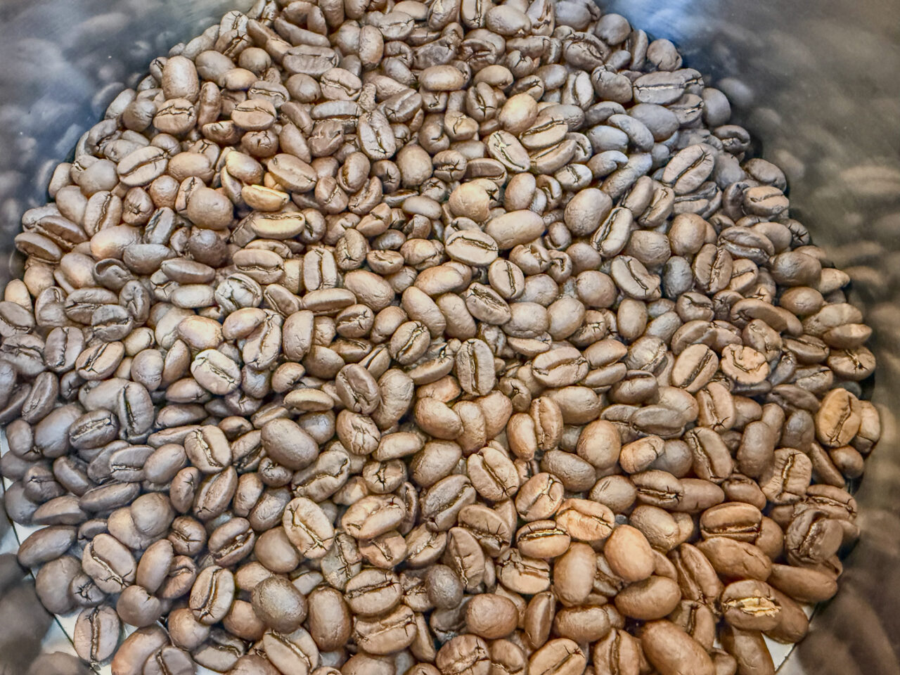 2026年4月 まいまいず珈琲 Maimais Coffee-5