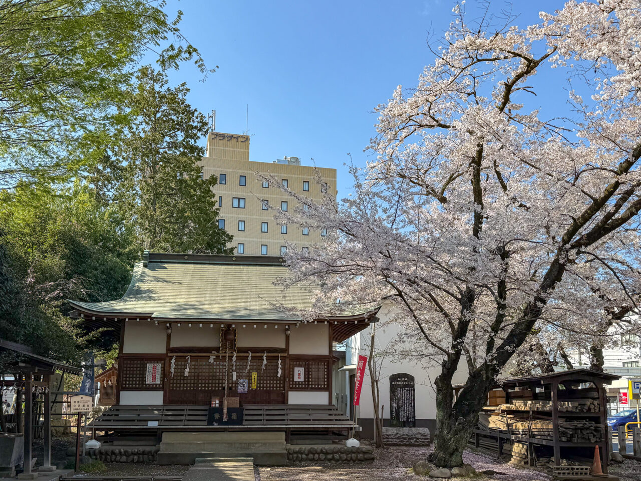 2026年4月 まいまいず井戸 Maimaizu Well-3