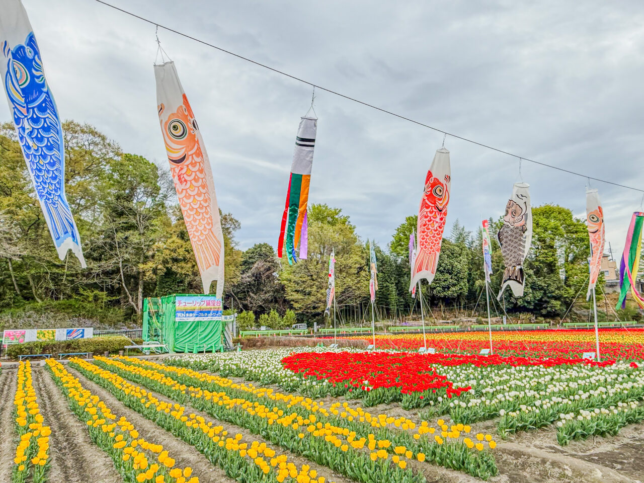 と水のまつり 2026 2026年4月 はむら花と水のまつり 2026 public relations 3