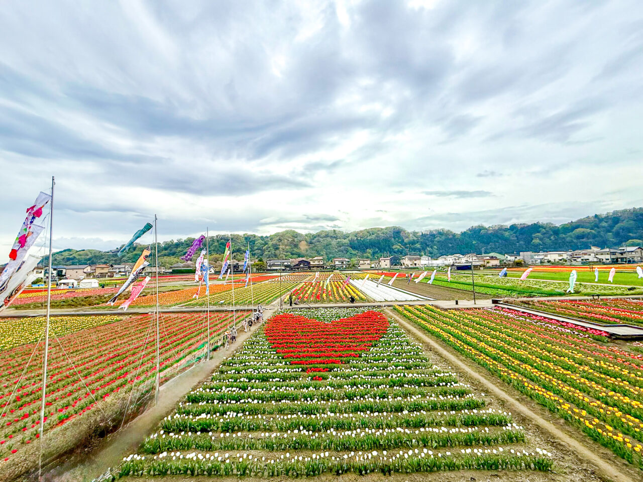 と水のまつり 2026 2026年4月 はむら花と水のまつり 2026 public relations 4