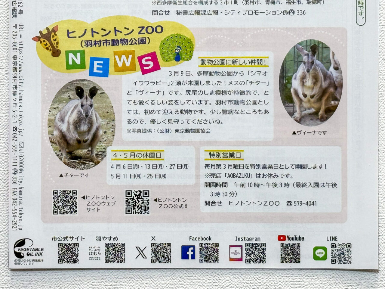 2026年4月 ヒノトントン Z00 hinotonton-1