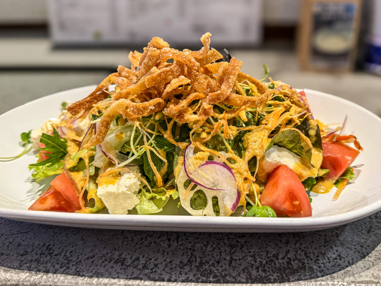 2026年4月 餃子と瓶 salad