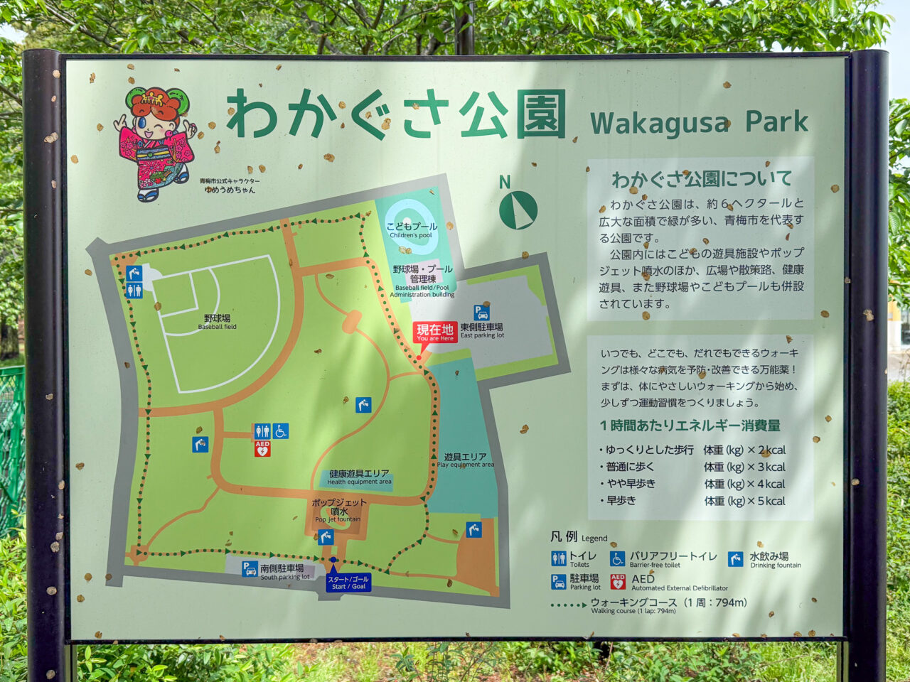 2026年5月 わかくさ公園遊具 wakakusa sub1