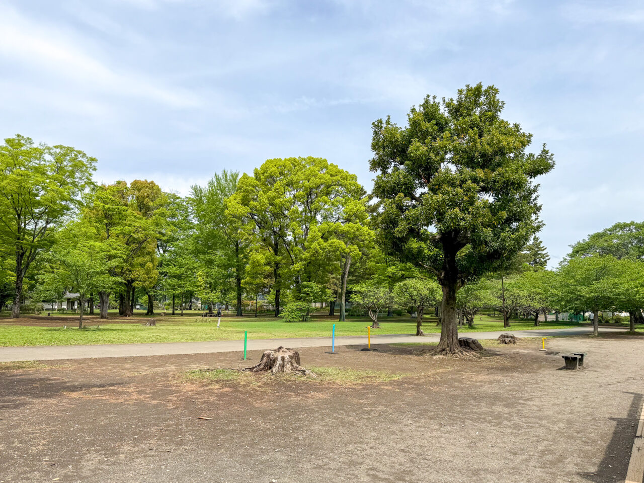 2026年5月 わかくさ公園遊具 wakakusa sub3