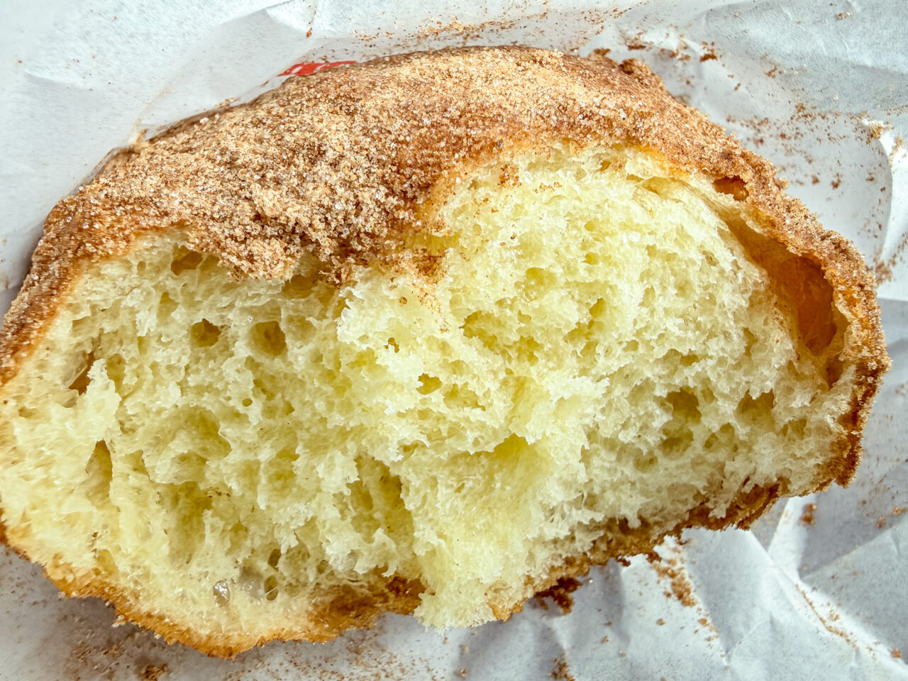 2026年5月 DONUTS SOCIETY-4