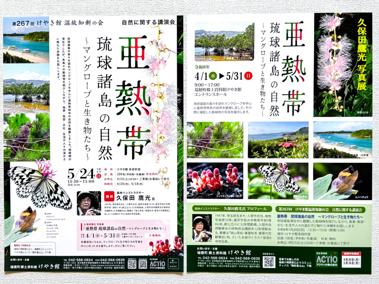 2026年5月 亜熱帯
琉球諸島の自然 1