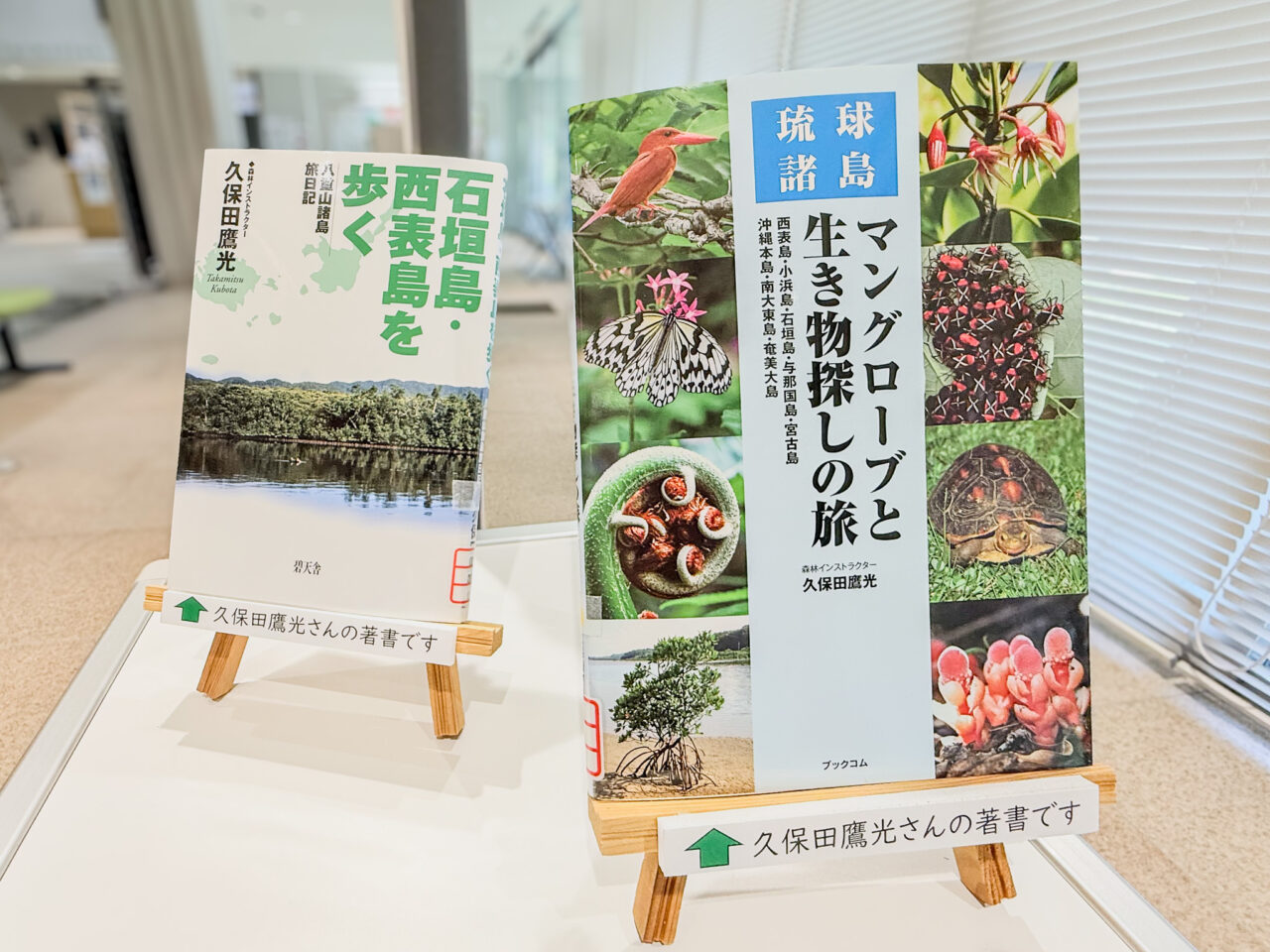 2026年5月 亜熱帯
琉球諸島の自然 7
