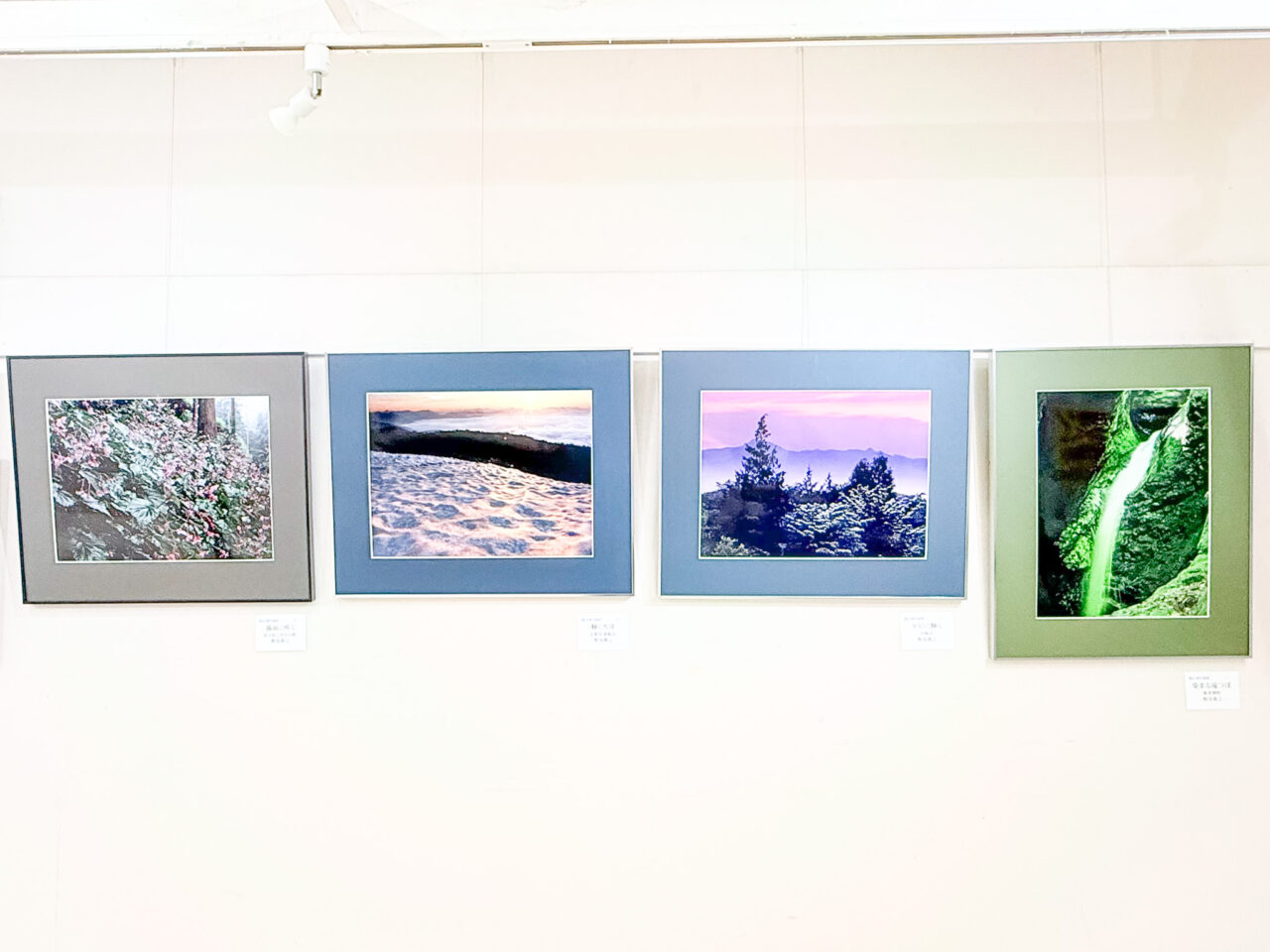 2026年5月 写流展 sharyu 1-4