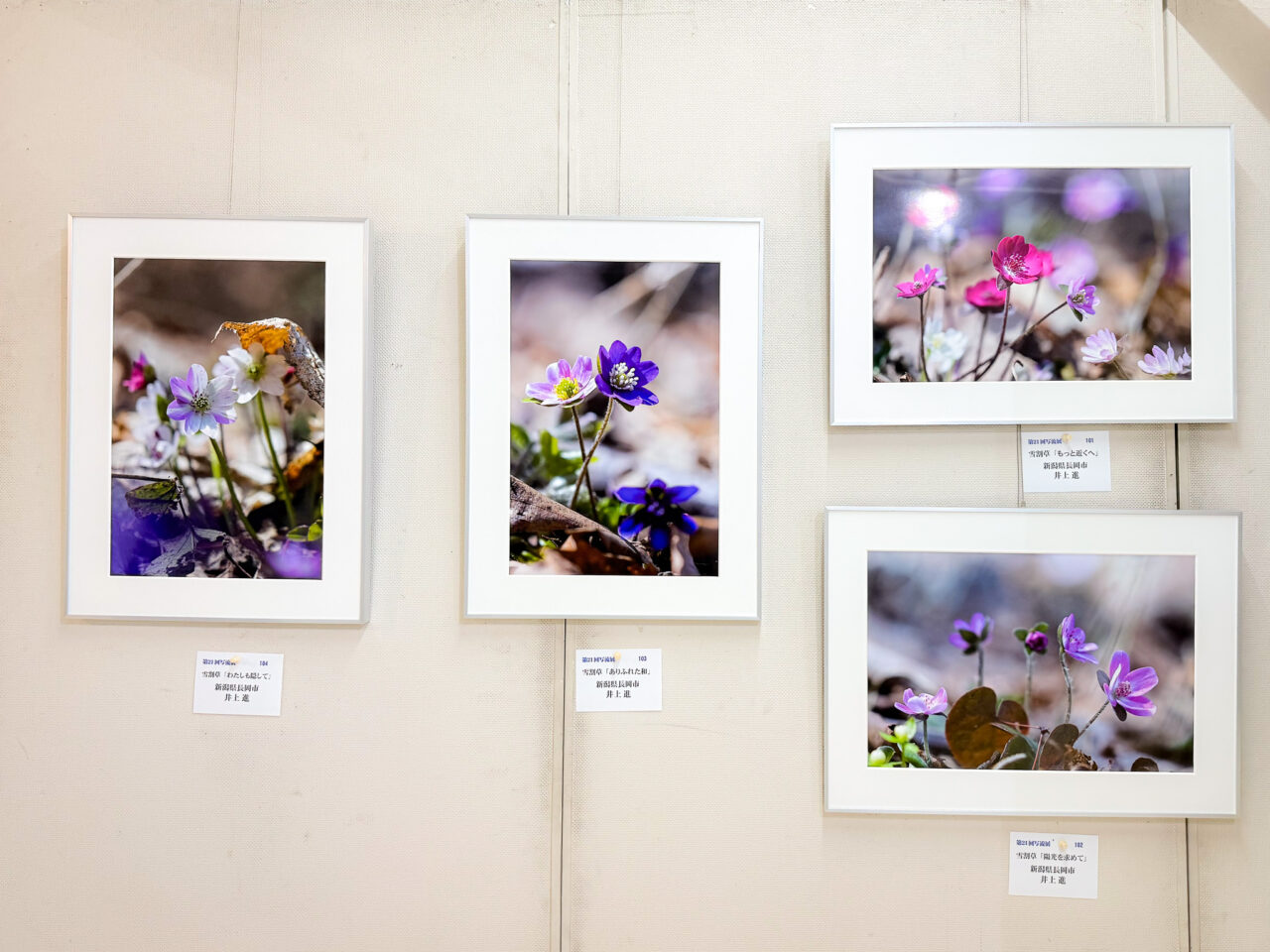 2026年5月 写流展 sharyu 101-104