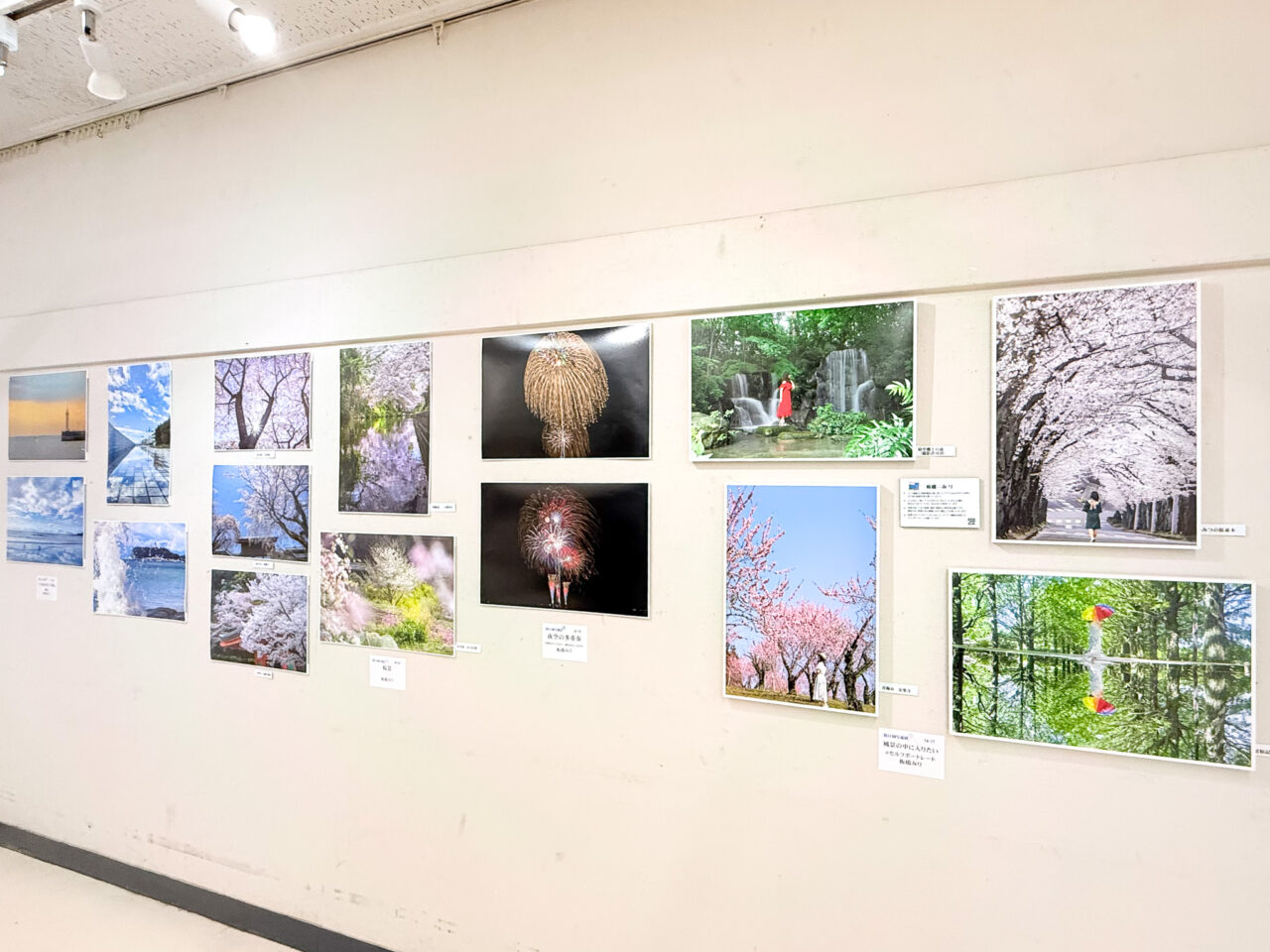 2026年5月 写流展 sharyu 14-28