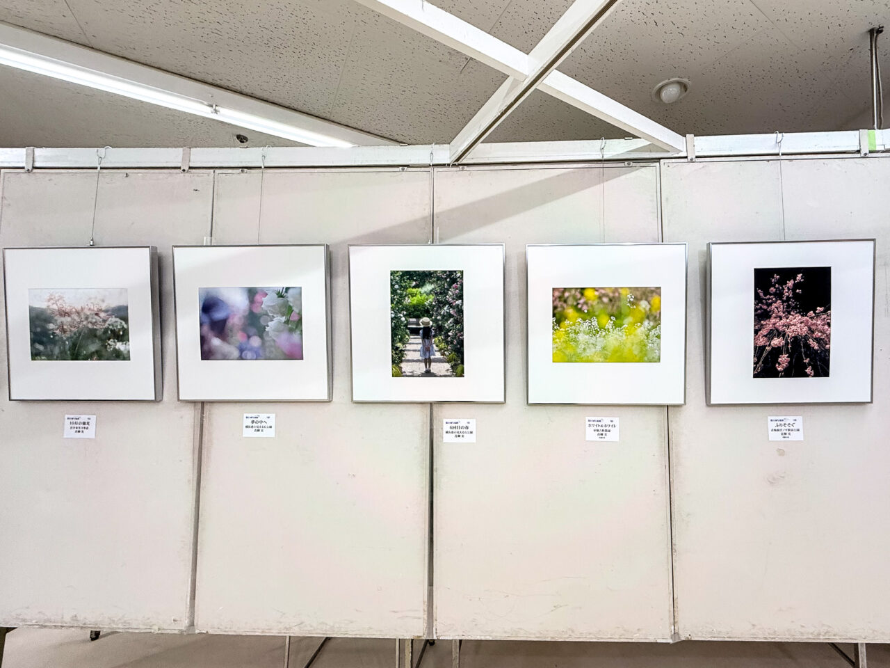 2026年5月 写流展 sharyu 148-153