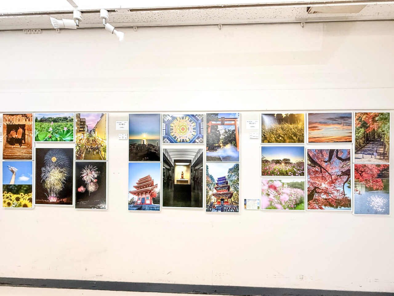 2026年5月 写流展 sharyu 29-48