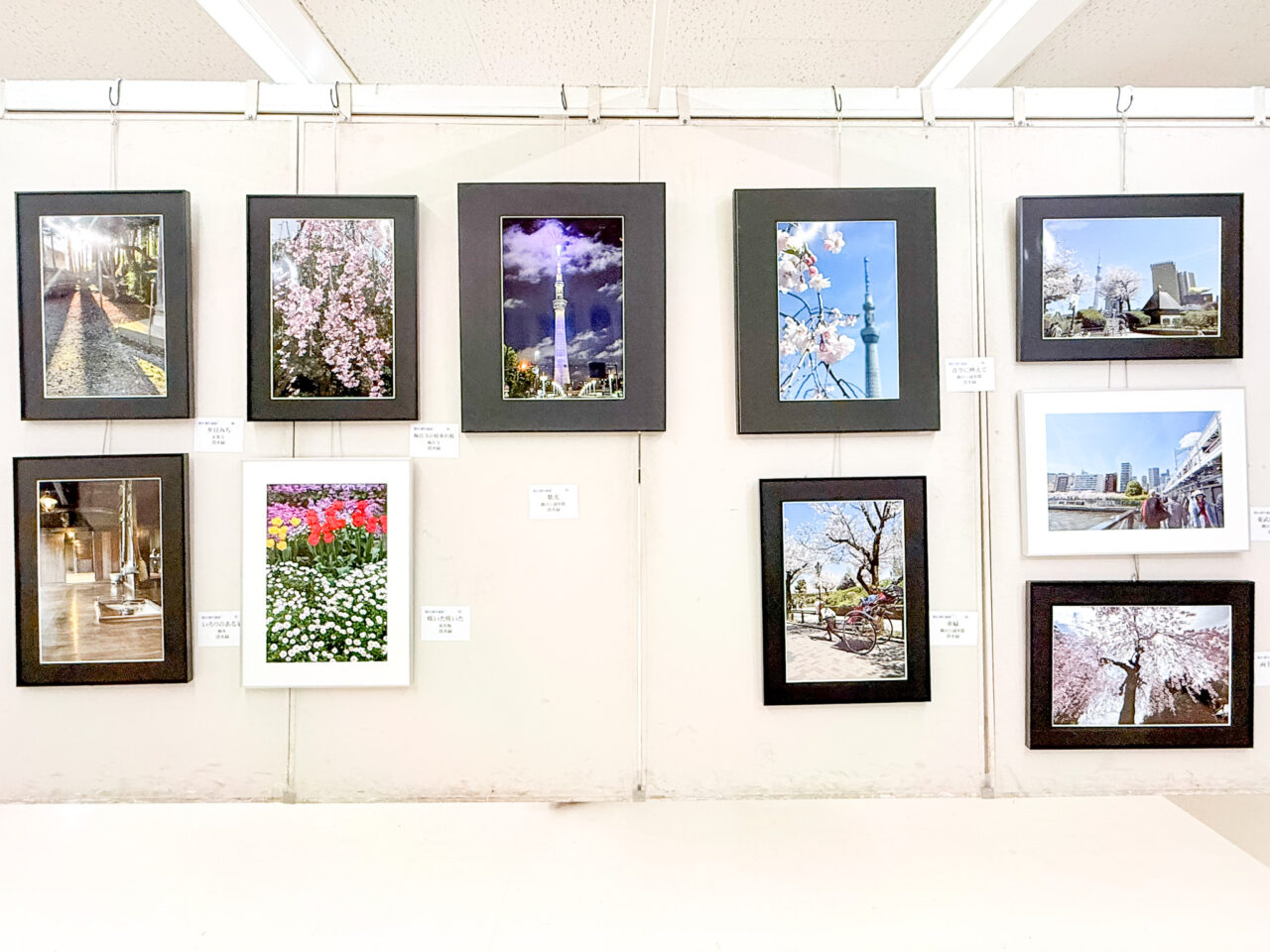 2026年5月 写流展 sharyu 49-58