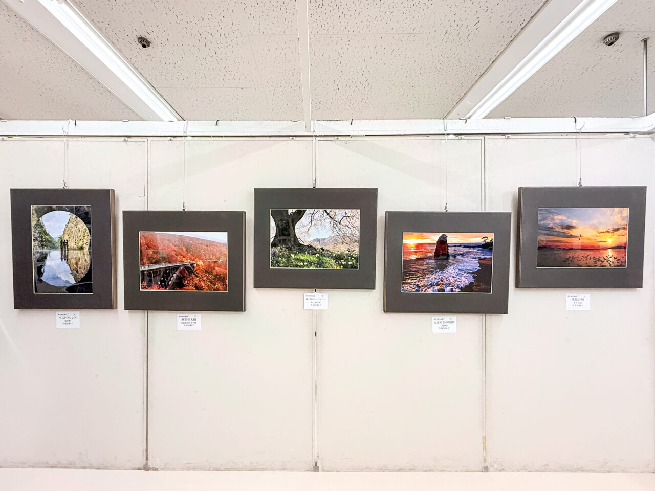 2026年5月 写流展 sharyu 78-82